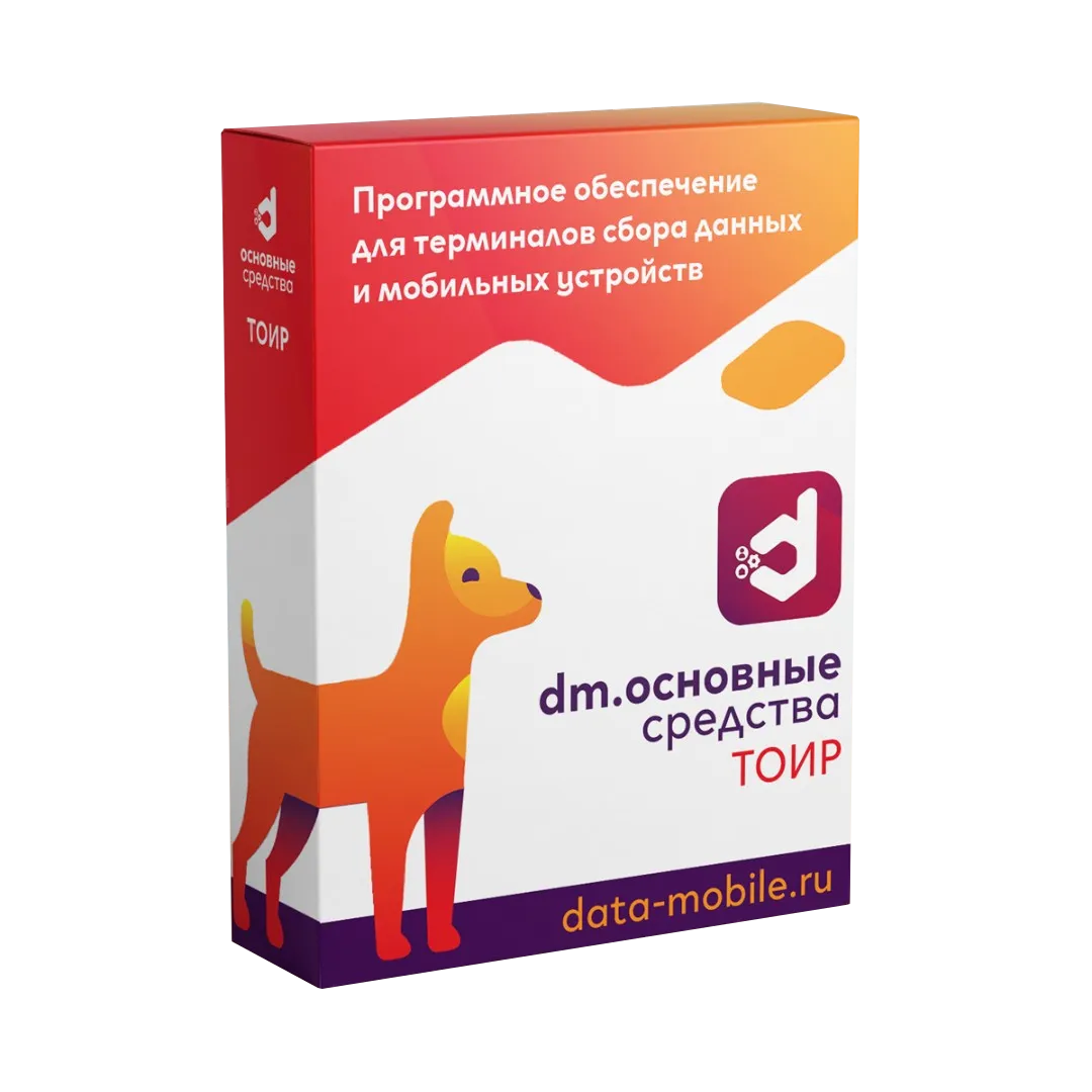 ПО DataMobile, Основные средства: ТОИР - LifeTime (DMTOIR)