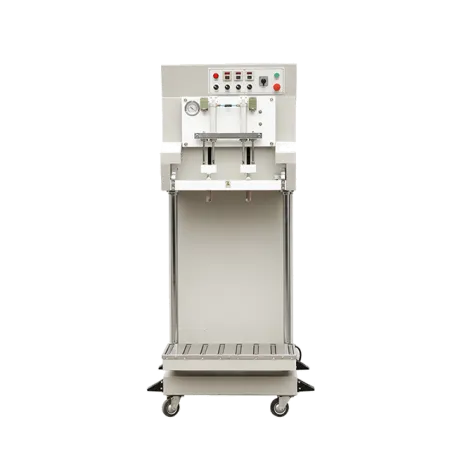 Вакуумный упаковщик DZQ-600L/S